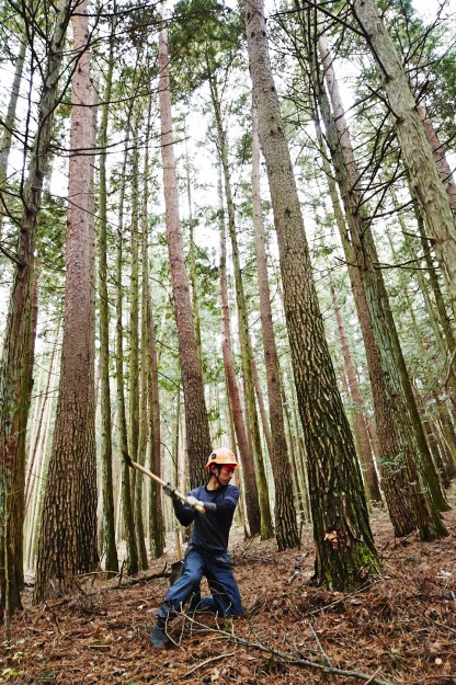 間伐材・針葉樹を使おう!プロジェクト、発進!  薪ストーブのdld_火